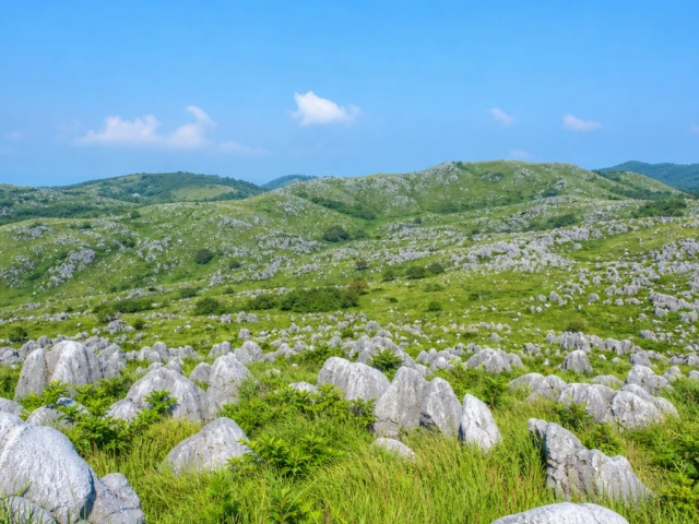 白い石灰岩が草原に点在する、開放感あふれる天然記念物
